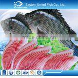 Top Quality and Competitive Price CO Treated Ivp Frozen Tilapia Fillet thumbnail-4