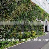 Songtao Natural Looking Green Artificial Vertical Green Grass Wall thumbnail-4