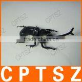 Solar Beetle Toy thumbnail-6