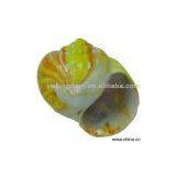 Sell Painted Shell thumbnail-1