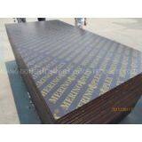 MERINOPLEX FILM FACED PLYWOOD, MR GLUE, POPLAR CORE, BROWN PRINTED FILM thumbnail-1