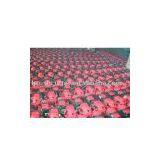 Chain Saw thumbnail-1