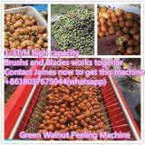 green walnut peeling washing machine