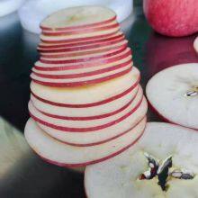Fruit Apple Pear Onion Slicing Machine thumbnail-3