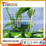 Print Transparent Pvc Card Thin Pvc Card