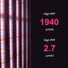 MYX-ZWD-002 Octopus720W thumbnail-4