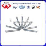 Price of Iron Nails thumbnail-3