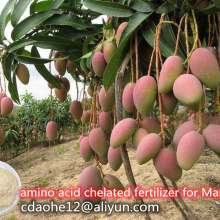 Plant Source Vegetable Fertilizer Amino Acid 52% Soluble Powder Free Aminoacids 45% thumbnail-3