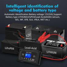 High Quality 0-35A 12V/24V Lithium Battery Charger for LiFePO4 Lead Acid AGM RV Marine Boat Deep Cycle