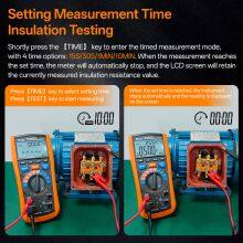 Vici VC4060PD 100V 250V 500V 100V 2500V 50GΩ Insulation Multimeter thumbnail-3