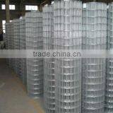 Top Quality Galvanized Spot Welded Wire Mesh in Rolls