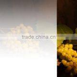 PET Release Film for Window Film thumbnail-4