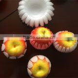 EPE Lotus Petal Foam Fruit Package