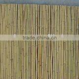 Rolled Bamboo Fence thumbnail-1