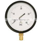Stainless Steel Capsule Pressure Gauge Made in China Good Quality