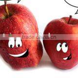 Huaniu Apple thumbnail-5