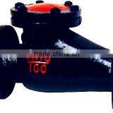 Swing Check Valve thumbnail-6