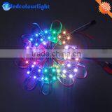 35mm Ws2801 Dmx Led Festoon Module Rgb Pixel Christmas Lights thumbnail-6
