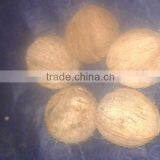 Husked Coconuts thumbnail-5