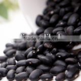 Canned black Kidney Beans in brine