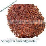 Good Aroma Well Dried Star Aniseeds thumbnail-2