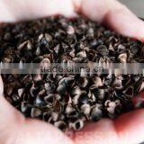 Organic Buckwheat Hull thumbnail-3