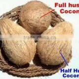 Price of Coconut for Buy