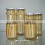 Canned Asparagus Spear thumbnail-5