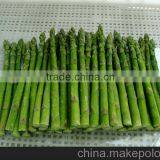 Fresh Frozen Asparagus