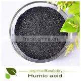 Pingxiang HAY Leonardite 70% Water Soluble Humic Acid With Potassium Granules For Football Fields