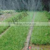 Plastic Material and Other Watering & Irrigation Type Irrigation Drip Tape 0.2mm Thickness thumbnail-2