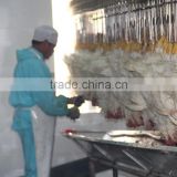 Halal Poultry Head Cutting and Bleeding Machine for Poultry Slaughterhouse