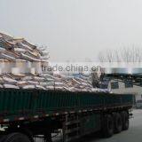 Yeast Powder 50% 55% 60% for Cattle ,chicken,dog,horse ,fish thumbnail-1