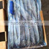 Low Price Seafood Frozen Saury thumbnail-3