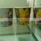 Paper Cup Flower,Growing Cup,Seed In Cup. thumbnail-1