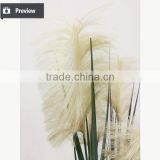 Wholesale Artificial Grass Synthetic Potted Grass Onion Grass With Bulrush thumbnail-3