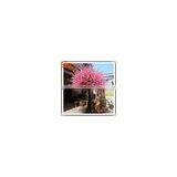 2015 Wholesale Decorative Artificial Fake Wedding Blossom Tree Cheap Silk Plastic Cherry Blossom Tree Life Size Trees and Plants thumbnail-1