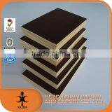 Building Materials Certified Brown Film Faced Plywood thumbnail-2