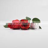 Laizhou Pengzhou PE Plastic Wrap for Flower Bud thumbnail-6