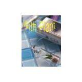 Sell Mobile Phone Accessories (South Korea) thumbnail-1