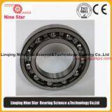 Electric Motor Bearings China thumbnail-1