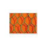 Hexagonal Wire Netting thumbnail-1