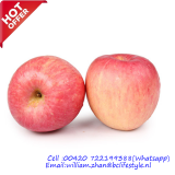 Fuji Apples thumbnail-1