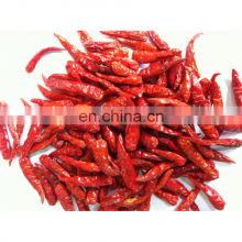 Dried Red Chilli from Vietnam with competitive price