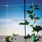 HDPE Climbing Agriculture Support Net