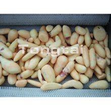 Potato, Sweet Potato, Cassava Cleaning and Peeling Machine thumbnail-4