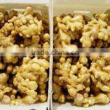 Chinese Fresh Best Quality Ginger thumbnail-1