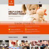 Professional Website Design