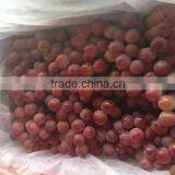 Red Global Grape/Red Grape/Bulk Grape thumbnail-3