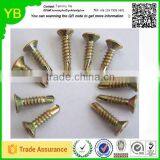 2016 New High Quality Brass Screws and Nails Bulk Caps thumbnail-2